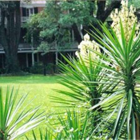 The Elms Bed And Breakfast Natchez Exterior foto