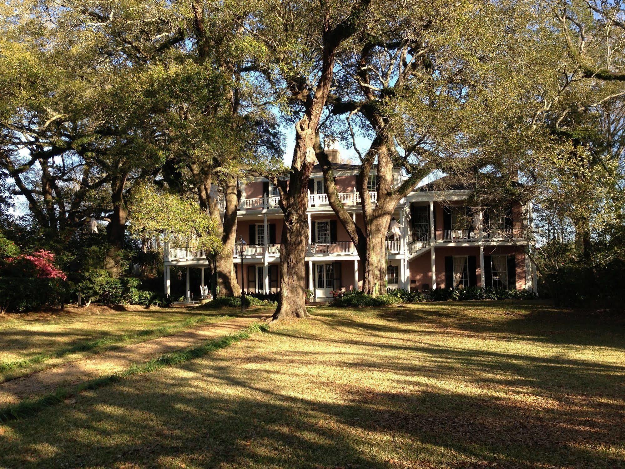 The Elms Bed And Breakfast Natchez Exterior foto