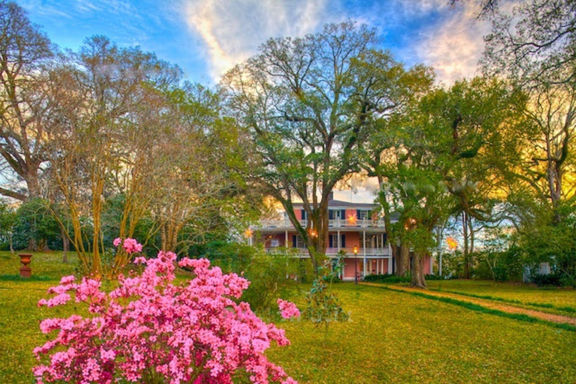 The Elms Bed And Breakfast Natchez Exterior foto
