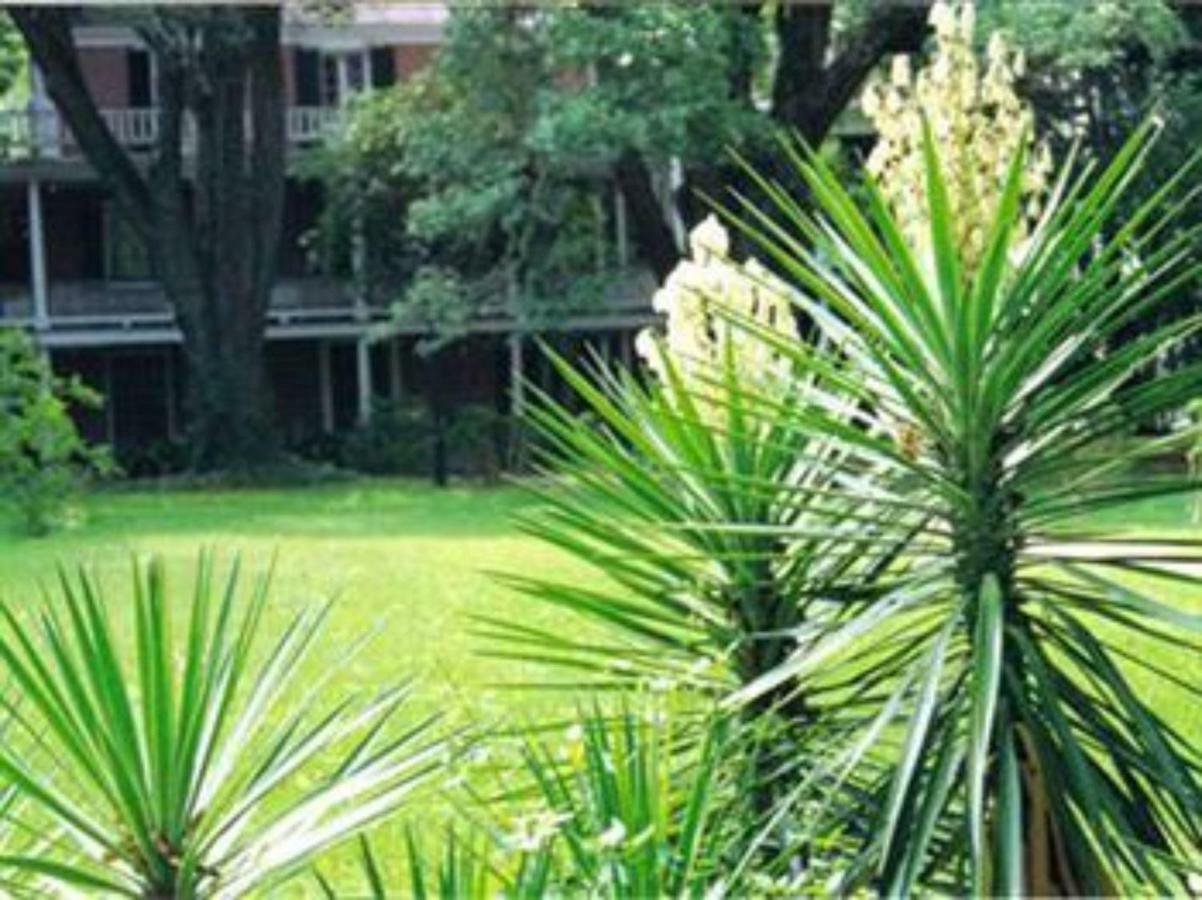 The Elms Bed And Breakfast Natchez Exterior foto